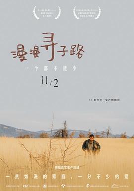 漫漫寻子路 2020 电影 海报