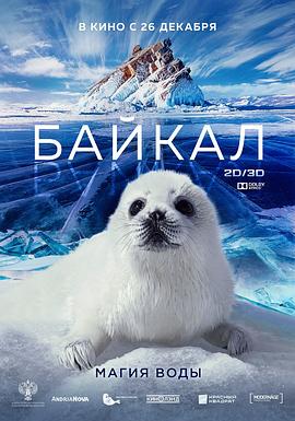 神奇的贝加尔湖 2021 纪录片 海报