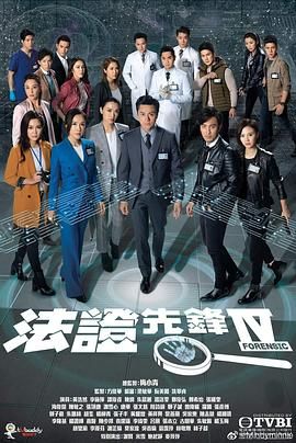 法证先锋4 普通话版 2020 电视剧 海报