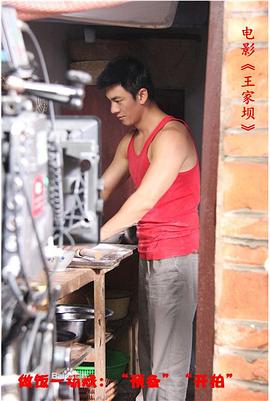 王家坝 2012 电影 海报