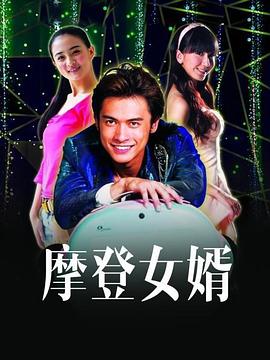 摩登女婿 2012 电视剧 海报