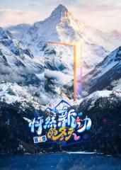 怦然新动的冬天第二季 2026 综艺 海报
