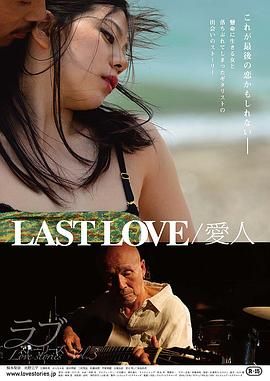 最后的爱人 2014 电影 海报