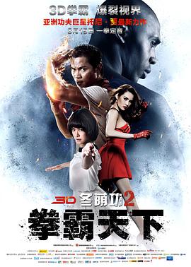 冬荫功2：拳霸天下（原声版） 2013 电影 海报
