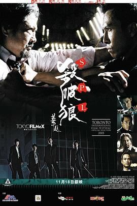 杀破狼 粤语版 2005 电影 海报