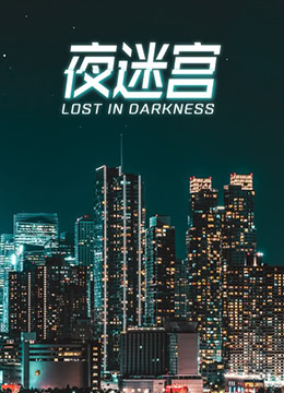 夜迷宫 2012 电影 海报
