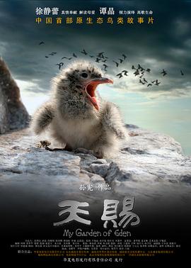 天赐 2010 纪录片 海报