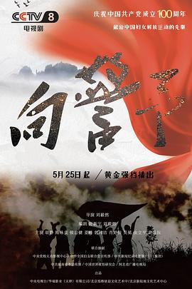 向警予 2021 电视剧 海报