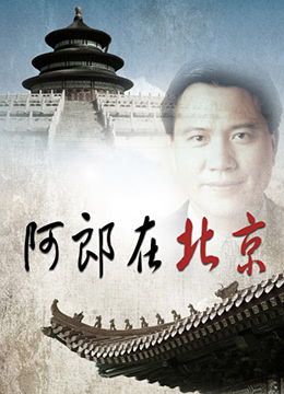 阿郎在北京 1998 电视剧 海报