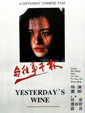 与往事干杯 1995 电影 海报
