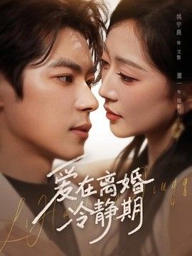 爱在离婚冷静期 2026 短剧 海报