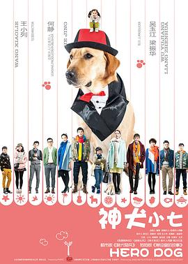 神犬小七 第一季 2015 电视剧 海报
